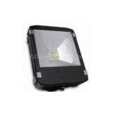 100w LED Tunnel Light