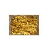 Fresh Ginger thumbnail-1