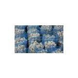 Jinxiang Fresh Garlic thumbnail-3