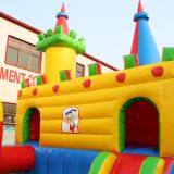 Giant Commercial Disney Playground Inflatable Bounce House for Sale thumbnail-4
