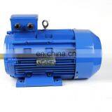 Three Phase Magnetic Electric Motor for Mini Conveyor Belt Induction Motor thumbnail-2