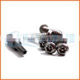 China Supplier Anti-theft Screw and Bolts