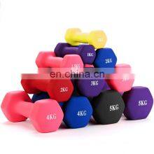 Custom Logo Home Use Fitness Gym Weight Hex Equipment Rubber 1kg 5kg Man Women Pink Dumbbell