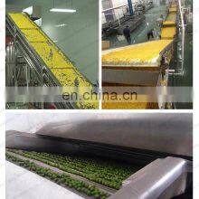 Frozen Vegetable Production Line Frozen Sweet Corn Strawberry Green Peas IQF Quick Freezing Machine thumbnail-3