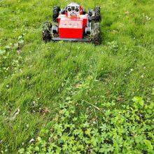 Remote Control Mower for Slopes, China Pond Weed Cutter Price, Remote Control Brush Mower for Sale