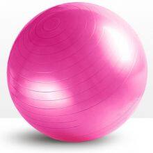 Custom High Quality PVC Pilates Balls and Yoga Balls for Home Gym,Yoga Clubs,Physical Therapy Center thumbnail-3