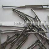 Polished Common Wire Nails Factory