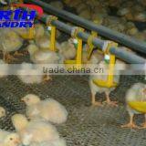 Poultry Farm Feeding Equipment Chicken Feeder thumbnail-2