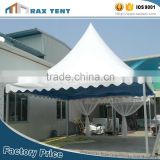 Hot selling tent mushroom with high quality
