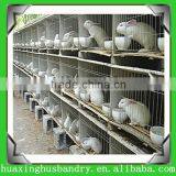 Industrial Rabbit Cages/used Rabbit Cages for Sale/easy Clean Rabbit Cage thumbnail-1