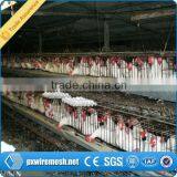 Prefab Chicken Farm/chicken Farm Building/chicken Farm Supplies