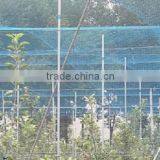 100% PP Plastic Fruit Cage Roof Netting/Fruit Protection Net thumbnail-3