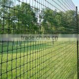 Plastic Lattice Fence
