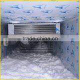 Guangzhou Container Cold Room for Meat ,potato and Fruit