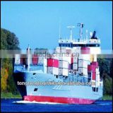 Competitive Ocean freight to Sokhna of Egypt from China Shenzhen Guangzhou Shanghai