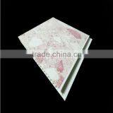 Bathroom Ceiling Panel