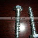 DIN 571 Hexagon tapping screws zinc plated