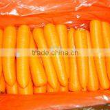 2014 New Crop Bulk Carrot With Best Price thumbnail-1
