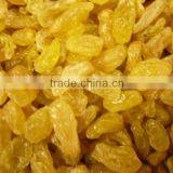 All Kinds of Dried Raisin (green Raisin/red Raisin /golden Raisin/sultana) thumbnail-1