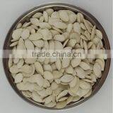 New Crop Chinese White Pumpkin Seeds Shine Skine for Sell thumbnail-2
