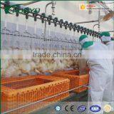 Chicken Processing Plant Machine Chicken Slaughter Machine Slaughering Equipment for Chicken thumbnail-3