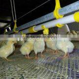 H Type 4 Layer Baby Chicken Cage/ Brooder/ Day Old Chicken Cages For Sale thumbnail-5