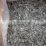 Painting Common Nail From Nail Factory thumbnail-2