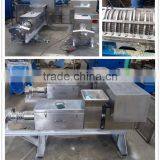 Stainless Steel Double Screw Fruit Juicer Machine/apple Extruder for Food Industry Use thumbnail-5