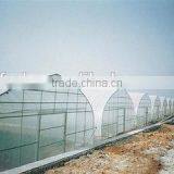 Good Promotion Tunnel Greenhouse Film for Vegetables and Flowers thumbnail-3
