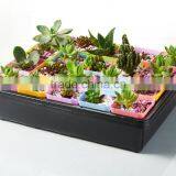 Plastic Raised Garden Bed thumbnail-3