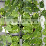 PE Artificial Hanging Vines for Restaurant Decoration thumbnail-2