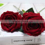 GNW FL-RS65-10CM-PU New Arrival Wholesale Champagne Rose Flower for Sale thumbnail-4