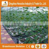 Heracles High Quality Customized Glass Greenhouse With Hydroponic System thumbnail-1