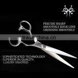 High Quality Most Popular Dog Grooming Scissors Pet Grooming Shears