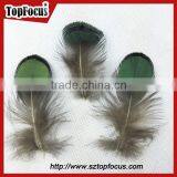 Carnival Decorate Green Loose Lady Amherst Pheasant Feathers for Sale thumbnail-3