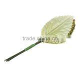 Terylene Artificial Leaf Flower Decoration Light Green 11.0cm(4 3/8"), 1 Packet thumbnail-1