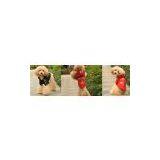 Xingchong pet products co.,ltd