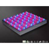 RCG 45W Hydroponic Greenhouse LED Grow Plant Lights 310x310x47 mm thumbnail-1