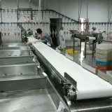 Poultry Chicken Broiler Weight Sorting Machine Weight Grader thumbnail-3
