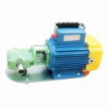 WCB Portable Gear Oil Pump thumbnail-2