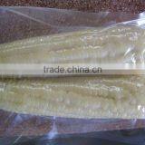 Best Quality Frozen White Sweet Corn From Vietnam