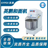 Zhongshan Noodle Mixer Stainless Steel Vertical Flour Mixer Horizontal Double Axis Flour and Noodle Mixer