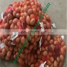 Industry Netting Onions Auto Clipping Machine thumbnail-4