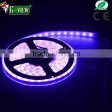 Red Green Bule Flexible Led Strip Light 3528 Chip With Water Proof IP65