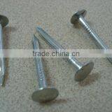 High Quality Clout Nails Factory in China