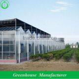 Polycarbonate Hollow Sheet Greenhouse