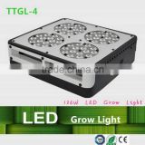 High quality top sell 10w chip led grow lights