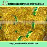 China Fresh Organic Ginger and Fresh Organic Garlic thumbnail-4