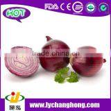 2014 Fresh Red Onion thumbnail-1