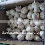 china garlic supplier